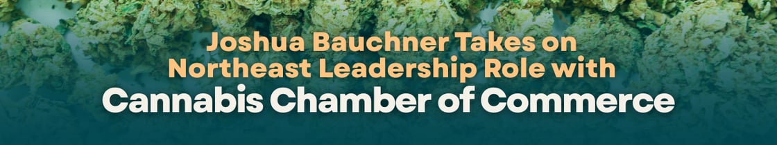 CHAP Rollup graphics for HS eblast 2 (1)