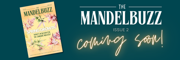 Mandelbuzz Email Blast Header (1)