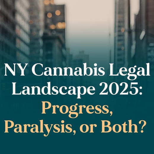 NY Cannabis Legal Landscape 2025 Progress, Paralysis, or Both