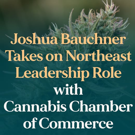 New York Law Journal  Insights on NY Medicinal Psilocybin-1